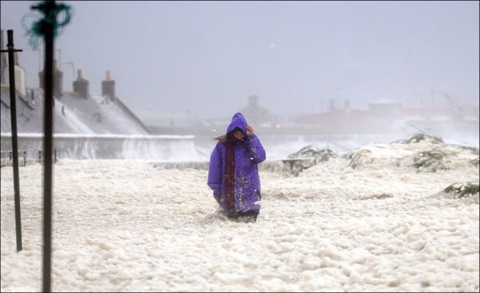 Cappuccino coast, Aberdeen, Scotland