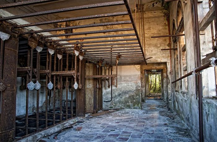 Island of Poveglia, Venice, Lido, Venetian Lagoon, Italy