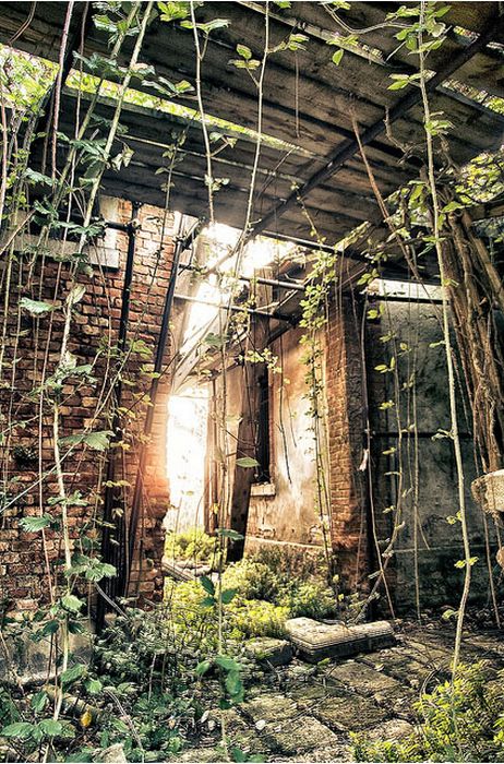 Island of Poveglia, Venice, Lido, Venetian Lagoon, Italy