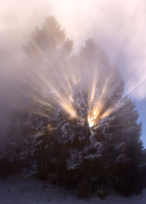 Yellowstone National Park, Wyoming, Idaho, Montana, United States