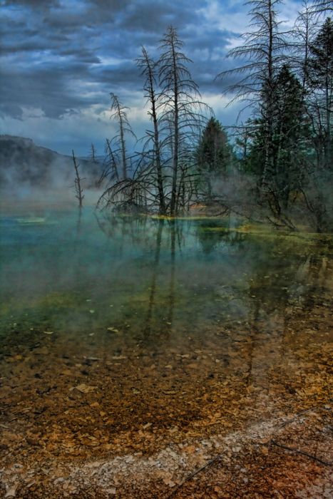 Yellowstone National Park, Wyoming, Idaho, Montana, United States