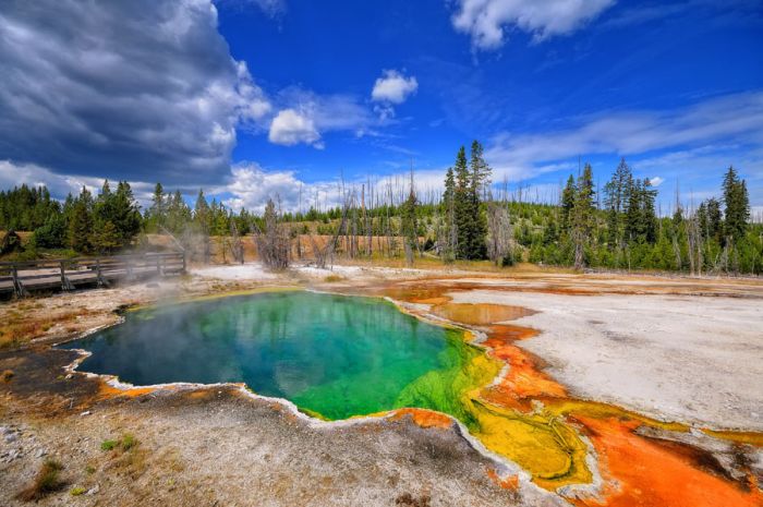 Yellowstone National Park, Wyoming, Idaho, Montana, United States