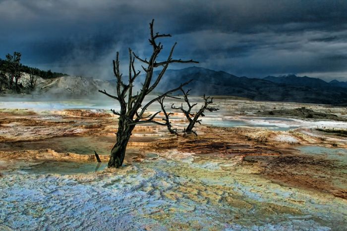 Yellowstone National Park, Wyoming, Idaho, Montana, United States