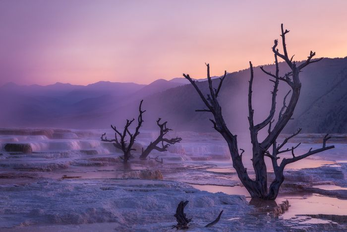 Yellowstone National Park, Wyoming, Idaho, Montana, United States