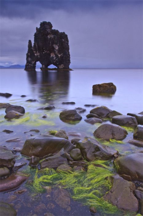 Dynosaur Rock Hvítserkur, Vatnsnes, Iceland