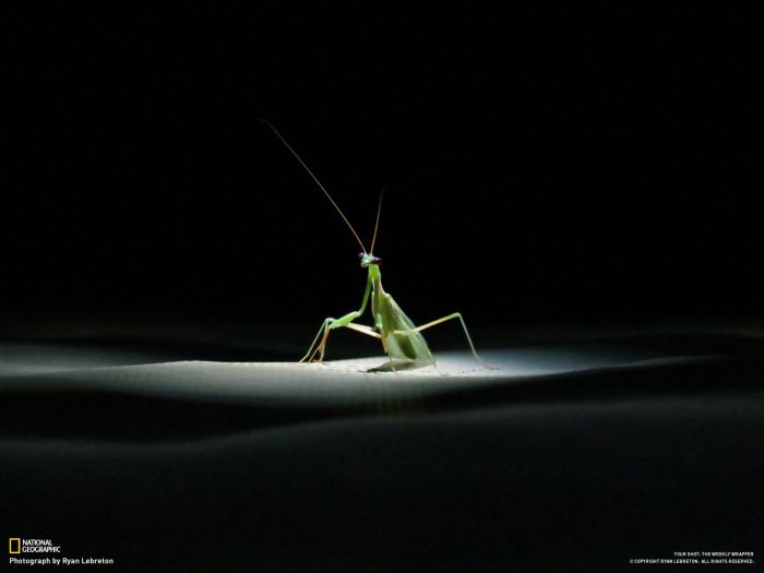 National Geographic Photography