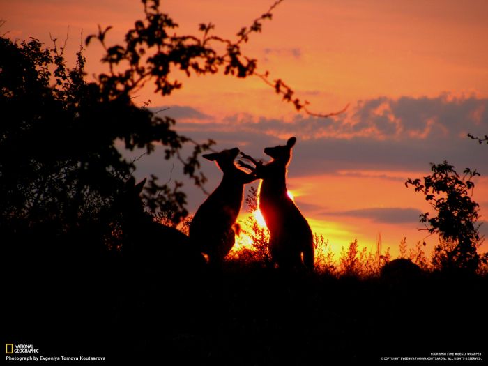 National Geographic Photography