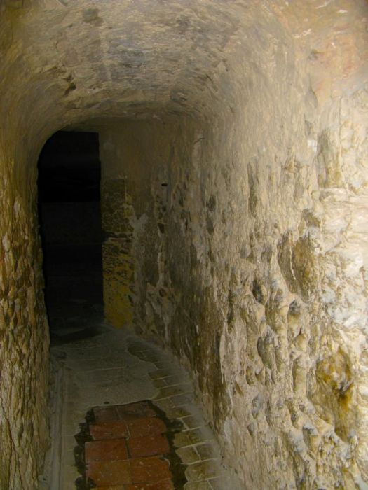 Château d'If fortress on the island of If, Frioul Archipelago, Bay of Marseille, Mediterranean Sea, France