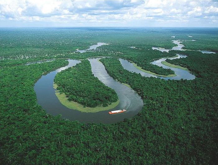 Amazon rainforest jungle, South America