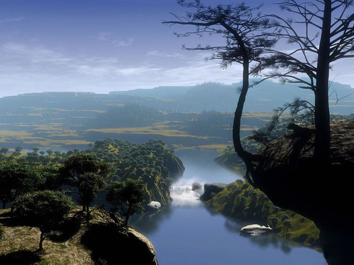 Amazon rainforest jungle, South America