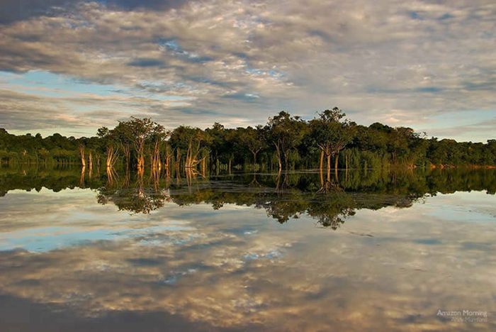 Amazon rainforest jungle, South America