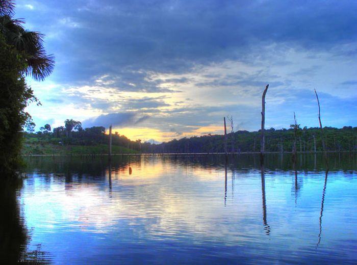 Amazon rainforest jungle, South America