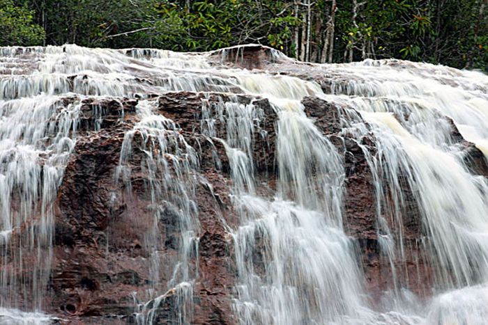 Amazon rainforest jungle, South America