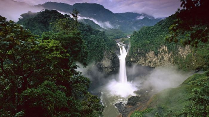 Amazon rainforest jungle, South America