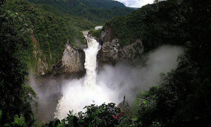 Amazon rainforest jungle, South America