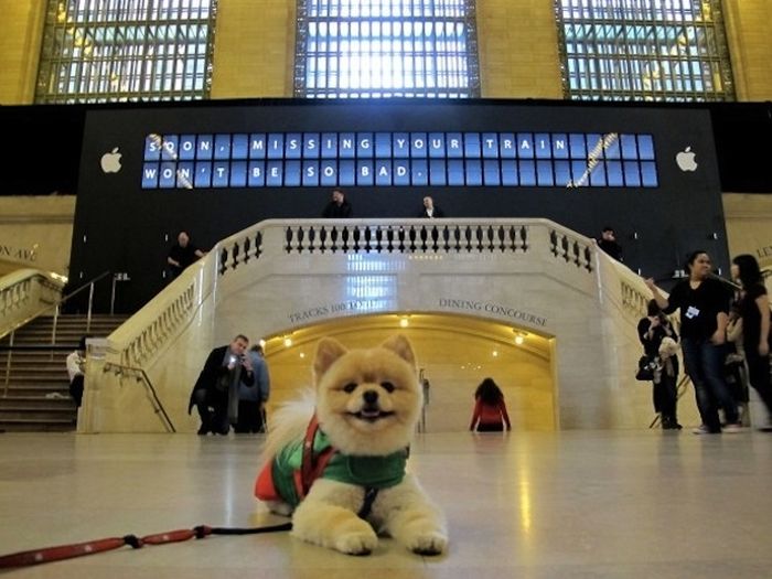 Grand Central Terminal Station 100th anniversary, New York City, United States