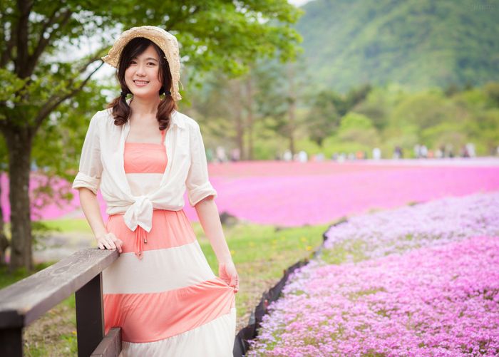 Moss Pink Cherry blossoms, Takinocho Shibazakura Park, Japan