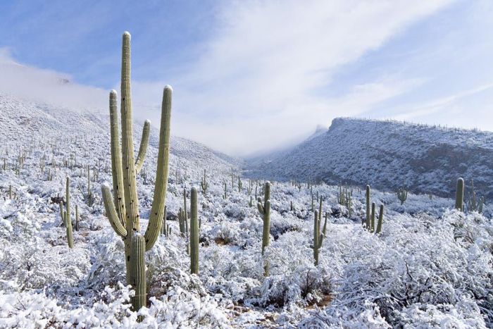 Grand Canyon covered with snow, Arizona, United States