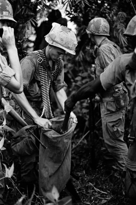 History: Vietnam war in photographs