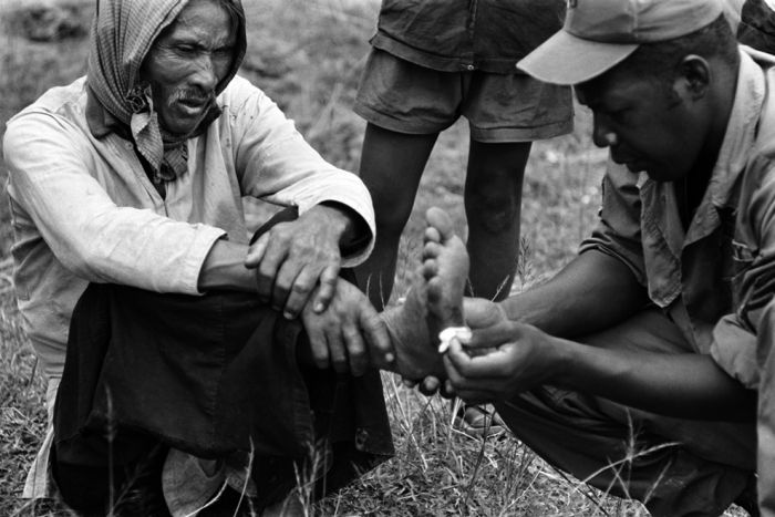 History: Vietnam war in photographs