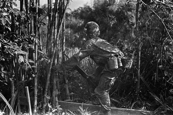 History: Vietnam war in photographs