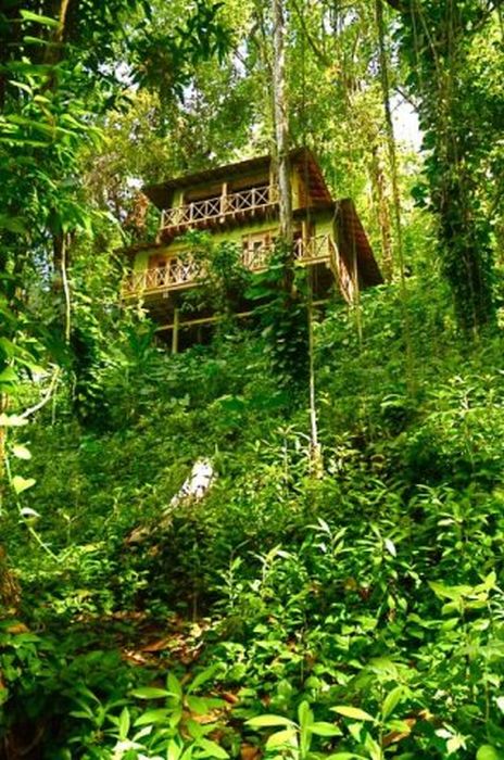 Kanopi house, Blue Lagoon, Port Antonio, Jamaica