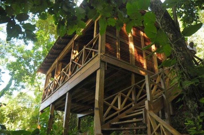 Kanopi house, Blue Lagoon, Port Antonio, Jamaica