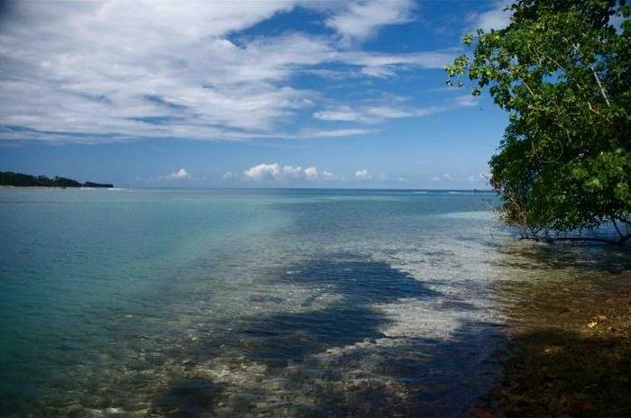 Kanopi house, Blue Lagoon, Port Antonio, Jamaica