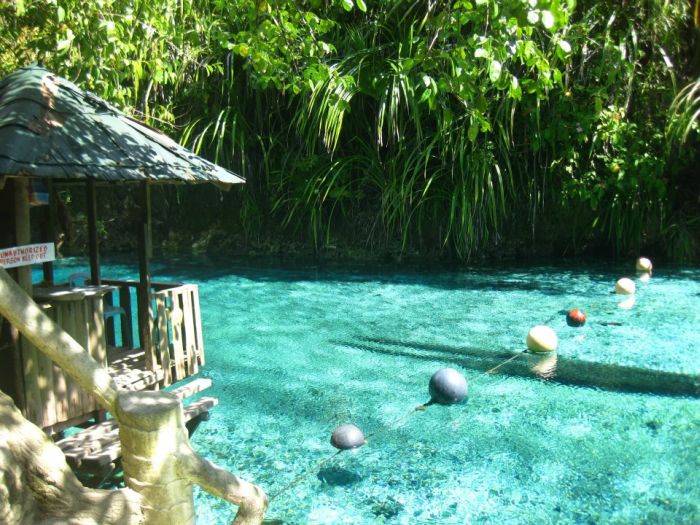 Enchanted Hinatuan River, Surigao del Sur, Mindanao island, Philippines