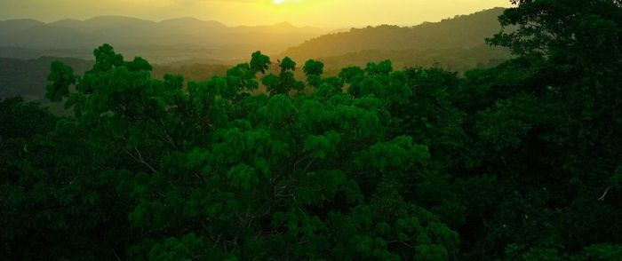 Canopy Tower hotel, Semaphore Hill, Soberania National Park, Panama City, Panama