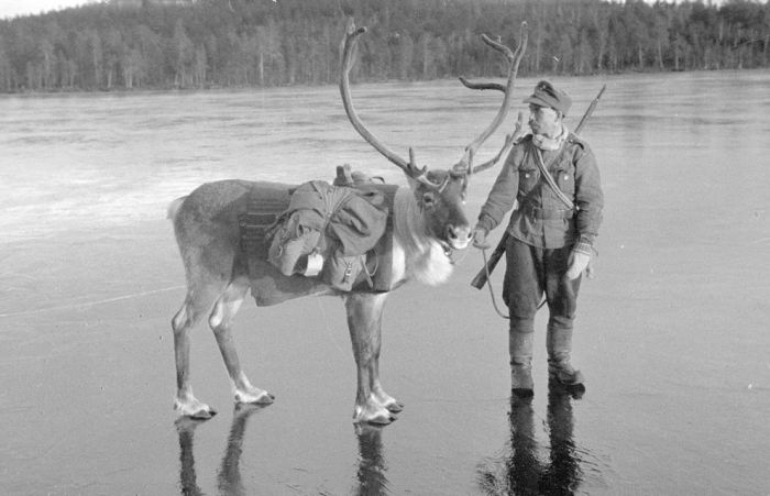 History: World War II photography, Finnish Defense Forces, Finland