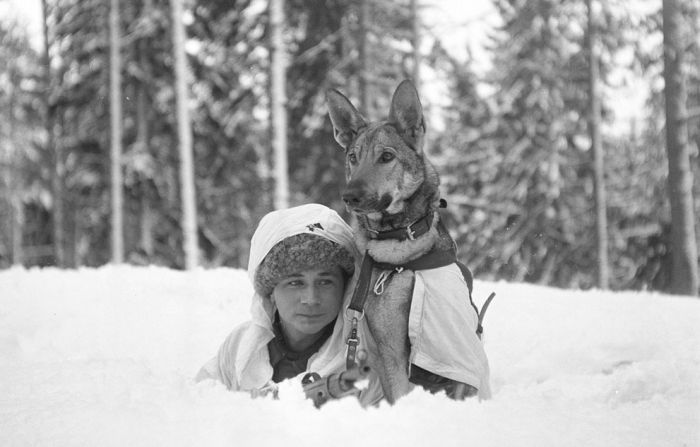 History: World War II photography, Finnish Defense Forces, Finland