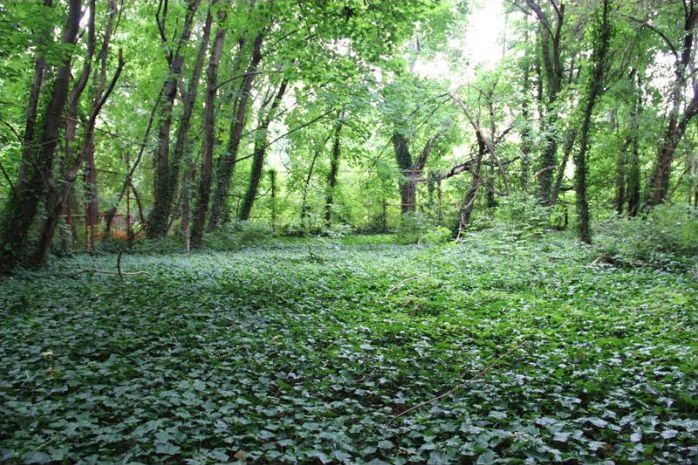 North Brother Island, East River, New York City, United States