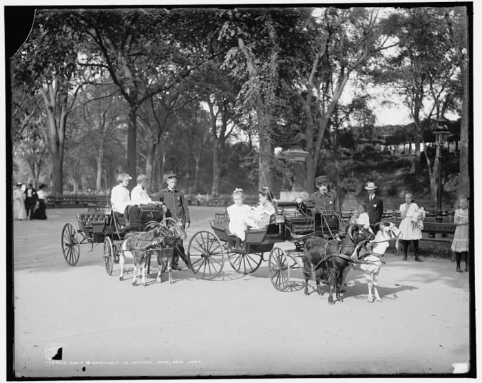 History: Central Park in the early 1900s, Manhattan, New York City, United States