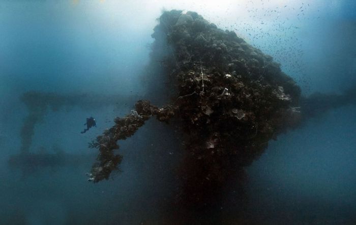 Chuuk Lagoon, Chuuk State, Federated States of Micronesia, Pacific Ocean