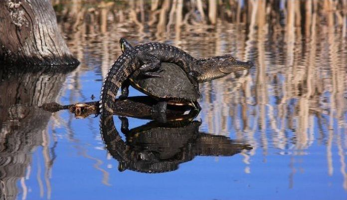 National Geographic Photography