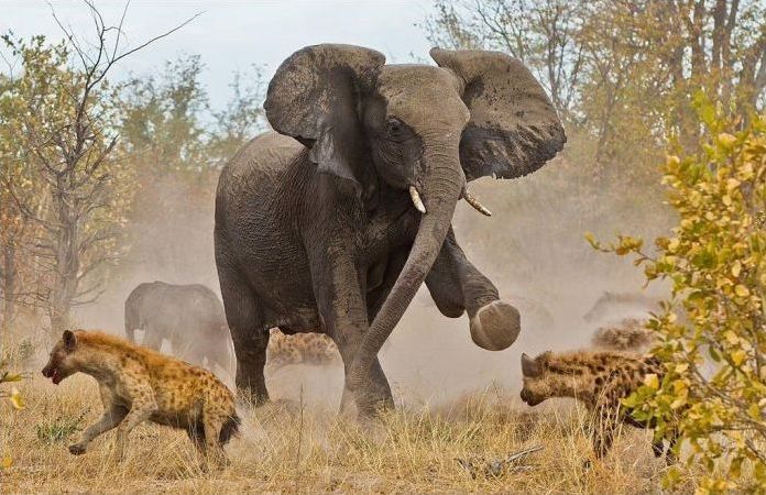 National Geographic Photography