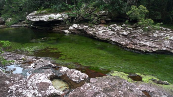 Caño Cristales, The River of Five Colors, Serrania de la Macarena, Meta, Colombia