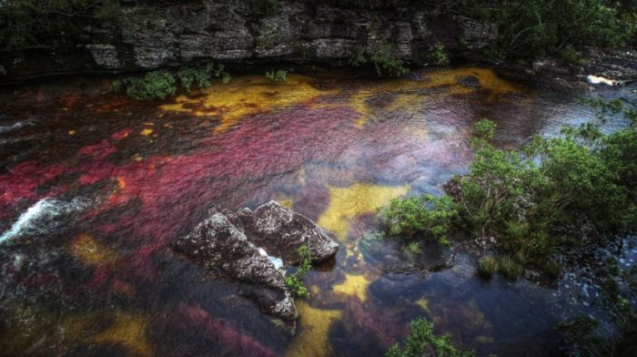 Caño Cristales, The River of Five Colors, Serrania de la Macarena, Meta, Colombia