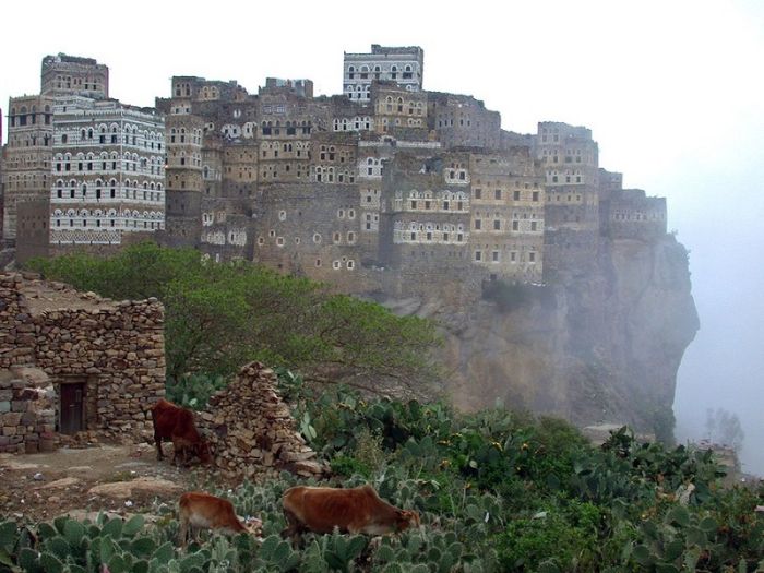 Socotra archipelago, Republic of Yemen, Indian Ocean