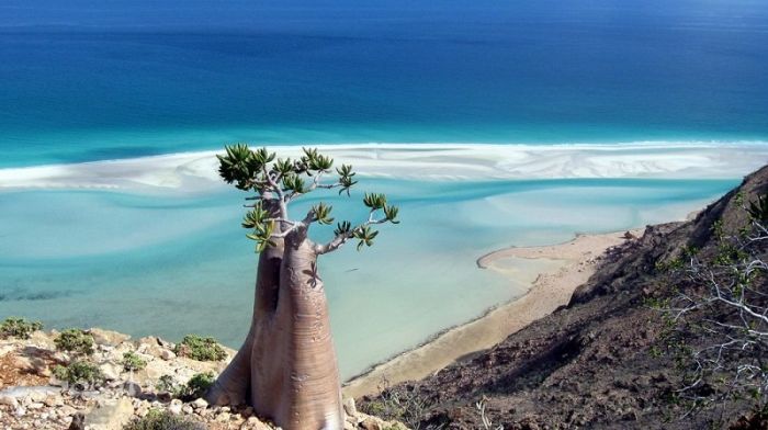 Socotra archipelago, Republic of Yemen, Indian Ocean