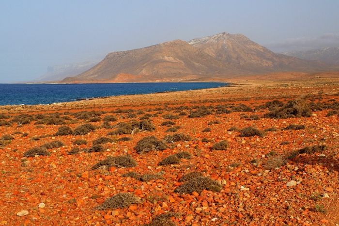 Socotra archipelago, Republic of Yemen, Indian Ocean