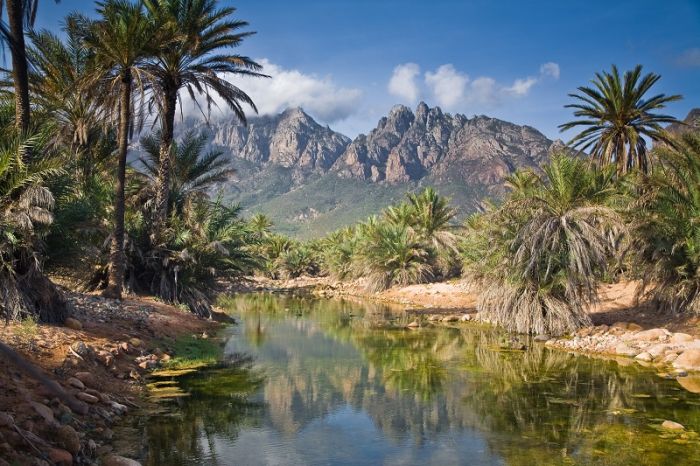 Socotra archipelago, Republic of Yemen, Indian Ocean