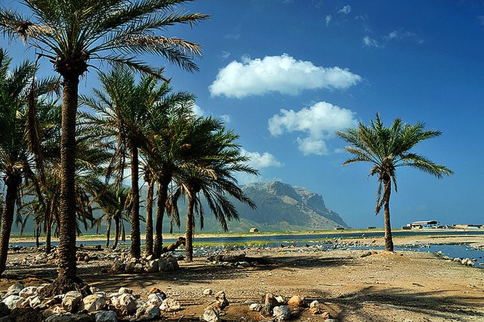 Socotra archipelago, Republic of Yemen, Indian Ocean