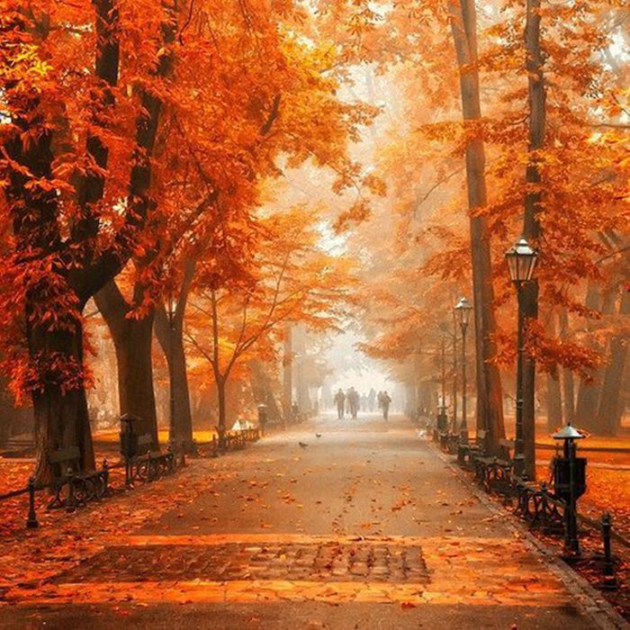 autumn world