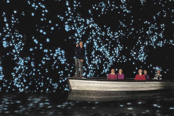 Waitomo Glowworm Caves, Waitomo, North Island, New Zealand