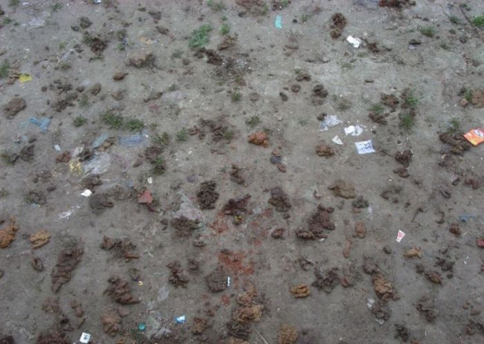 Pollution of the Ganges, Ganges river, India