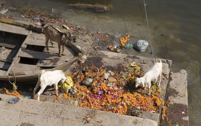 Pollution of the Ganges, Ganges river, India