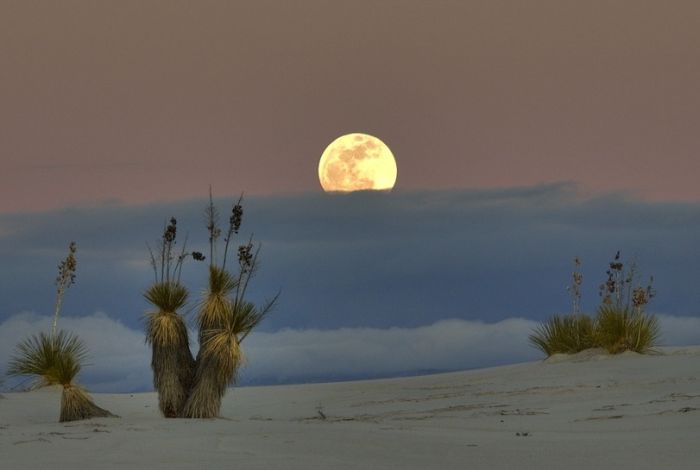 White Sands National Monument, New Mexico, United States