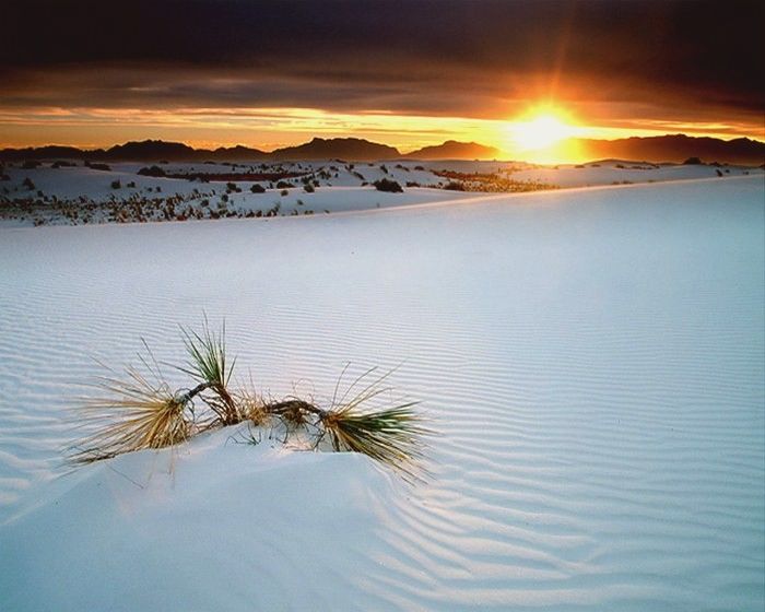 White Sands National Monument, New Mexico, United States